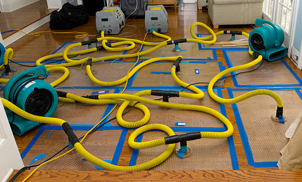 Professional Water Extraction technician working in Henry, IL